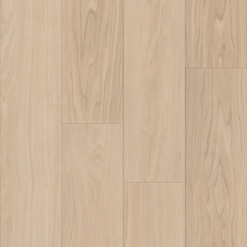 Trucor Bravo Durand Ash