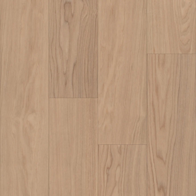 Trucor Bravo Gerento Ash