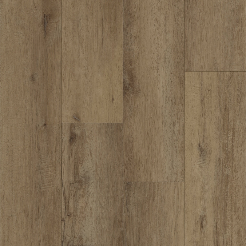 Trucor Prime X Antler Oak