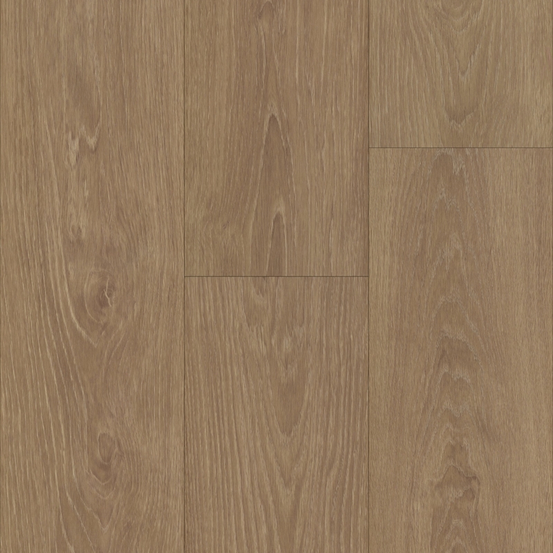 Trucor Tymbr XL Leon