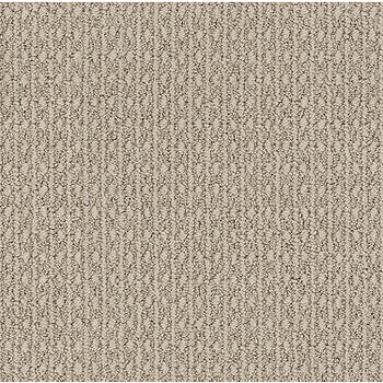 Tuftex Moondance Neutral Ground