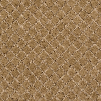 Tuftex Pawnache Golden Straw