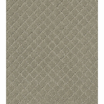 Tuftex Pawnache Gray Mirage
