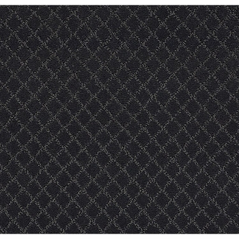 Tuftex Pawnache Night Shade