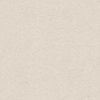 Tuftex Pawparazzi I Barely Beige