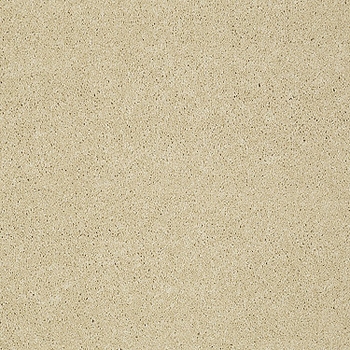 Tuftex Pawparazzi I Cork