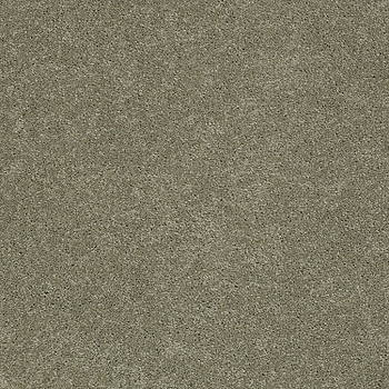 Tuftex Pawparazzi I Dry Sage