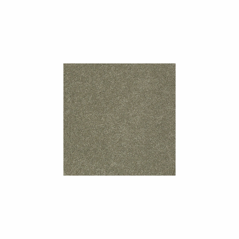 Tuftex Pawparazzi I Dry Sage