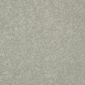 Tuftex Pawparazzi I Gray Mirage