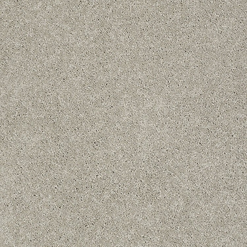 Tuftex Pawparazzi I Mocha Cream