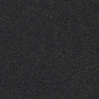 Tuftex Pawparazzi I Night Shade