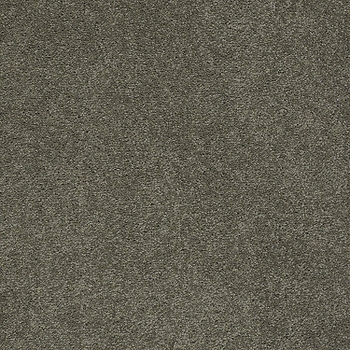 Tuftex Pawparazzi I Overcoat