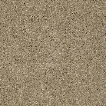 Tuftex Pawparazzi I Peanut Shell