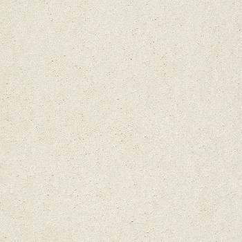 Tuftex Pawparazzi II Antiquity