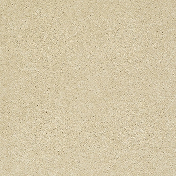 Tuftex Pawparazzi II Cork