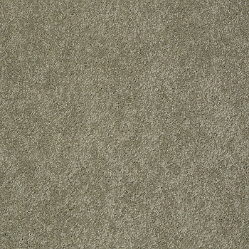 Tuftex Pawparazzi II Dry Sage