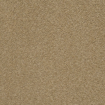 Tuftex Pawparazzi II Golden Straw