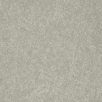 Tuftex Pawparazzi II Gray Mirage