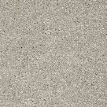 Tuftex Pawparazzi II Mocha Cream