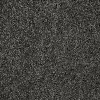 Tuftex Pawparazzi II Overcoat