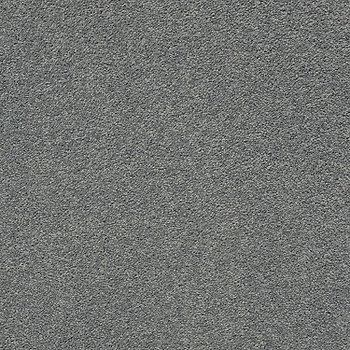 Tuftex Pawparazzi II Steel Wool