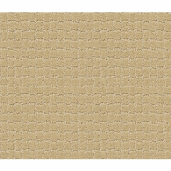 Tuftex Pawstruck Cork