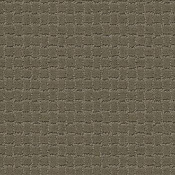 Tuftex Pawstruck Dry Sage