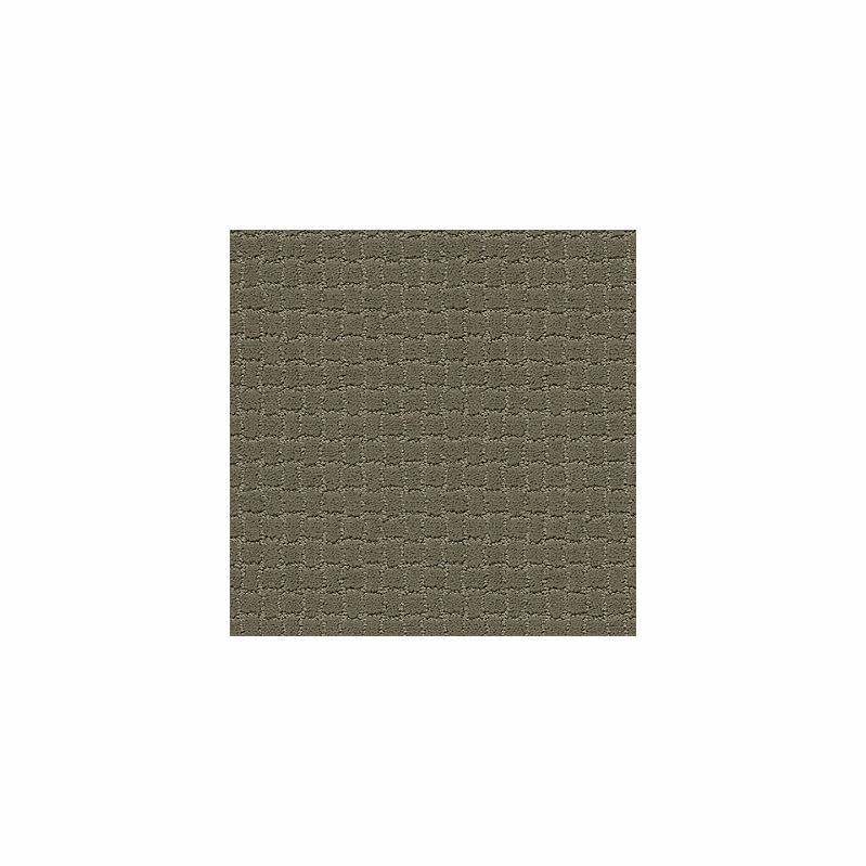 Tuftex Pawstruck Dry Sage