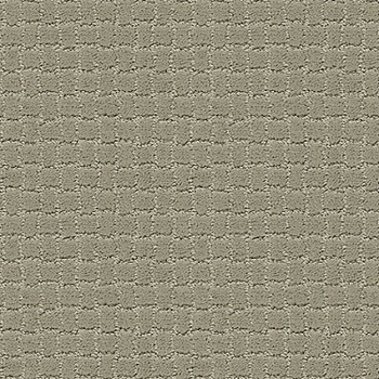 Tuftex Pawstruck Gray Mirage