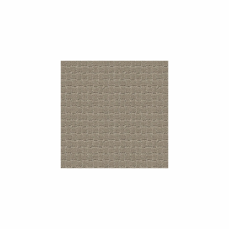 Tuftex Pawstruck Mocha Cream