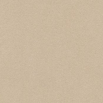 Tuftex Perfect Choice Cocoa Sand