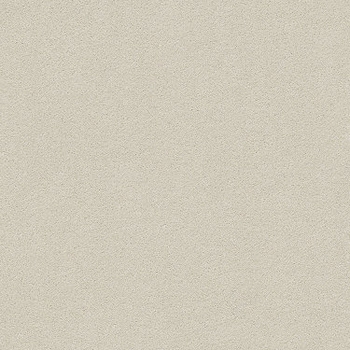 Tuftex Perfect Choice Misty Dawn