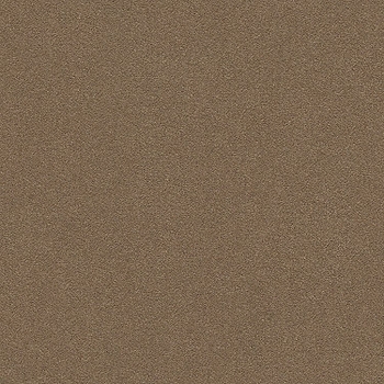 Tuftex Perfect Choice Mystic Brown