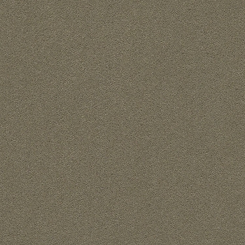 Tuftex Perfect Choice Sleek Suede