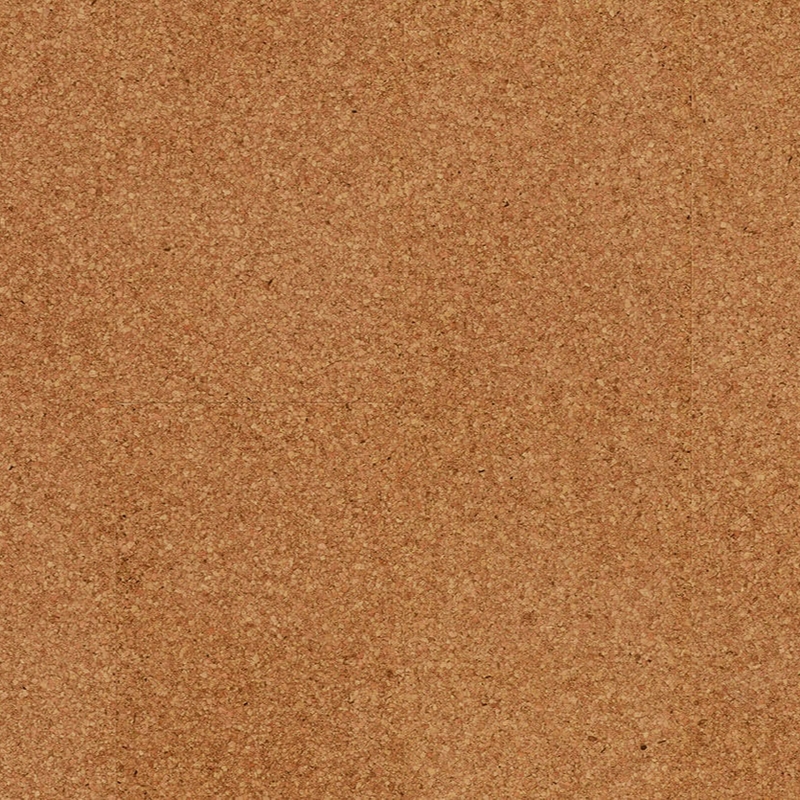 Wicanders Cork Go Moment