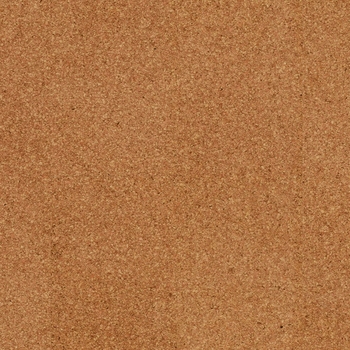 Wicanders Cork Go Moment