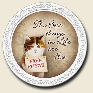 Best in Life Scentiment Coaster