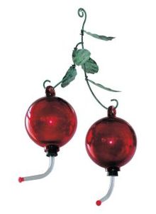 Hummingbird Feeder Double Cherries