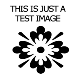 Test Item Test Item