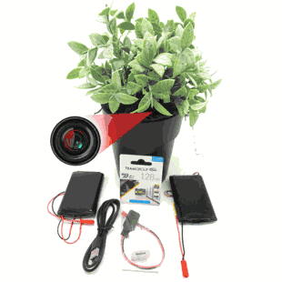 WiFi Hidden Camera  w/ Audio Plant/Flower Pot Spy/Nanny Cam Motion Activated with Long Battery Life - Custom Made In House in the USA