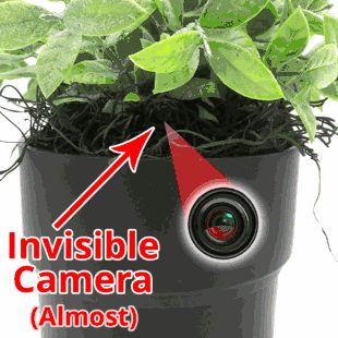 WiFi Hidden Camera  w/ Audio Plant/Flower Pot Spy/Nanny Cam Motion Activated with Long Battery Life - Custom Made In House in the USA