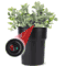 WiFi Hidden Camera  w/ Audio Plant/Flower Pot Spy/Nanny Cam Motion Activated with Long Battery Life - Custom Made In House in the USA
