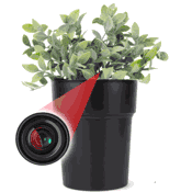 WiFi Hidden Camera  w/ Audio Plant/Flower Pot Spy/Nanny Cam Motion Activated with Long Battery Life - Custom Made In House in the USA