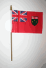 1 ONTARIO CANADIAN PROVINCIAL FLAG 4" X 6" SMALL STICK FLAG ON 10" POLE .. NEW