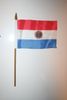 1 PARAGUAY NATIONAL COUNTRY 4" X 6" SMALL STICK FLAG ON 10" POLE ... NEW
