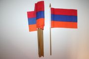 12 ARMANIA COUNTRY 4" X 6" SMALL STICK FLAGS ON 10" POLE .. NEW