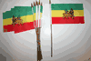 12 ETHIOPIA LION OF JUDAH COUNTRY FLAG 4" X 6" SMALL STICK FLAGS ON 10" POLE... NEW