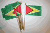 12 GUYANA NATIONAL COUNTRY FLAG 4" X 6" SMALL STICK FLAGS ON 10" POLE .. NEW