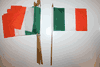 12 IRELAND NATIONAL COUNTRY FLAG 4" X 6" SMALL STICK FLAGS ON 10" POLE .. NEW