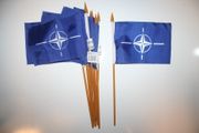 12 NATO 4" X 6" SMALL STICK FLAGS ON 10" POLE ..  NEW
